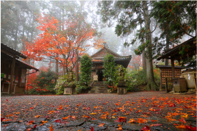 「禅定寺」